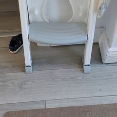 Babylo Toilet Training Seat