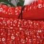 top Bnwt size large red Zara top Image 7