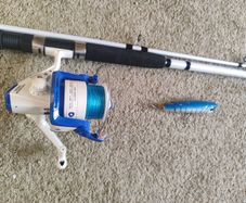 Mitchell Neuron Mackerel 300 fishing rod  with ocean lure