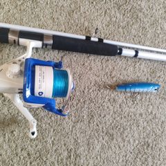 Mitchell Neuron Mackerel 300 fishing rod  with ocean lure
