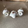 Royal Albert Old Country Rose Pisy Fliwers & Pepper& Salt set Image 10