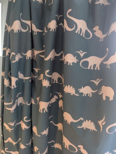dinosaur curtains