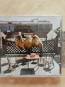 Wilco CD - (The Album)