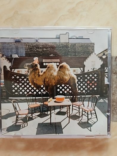 Wilco CD - (The Album)