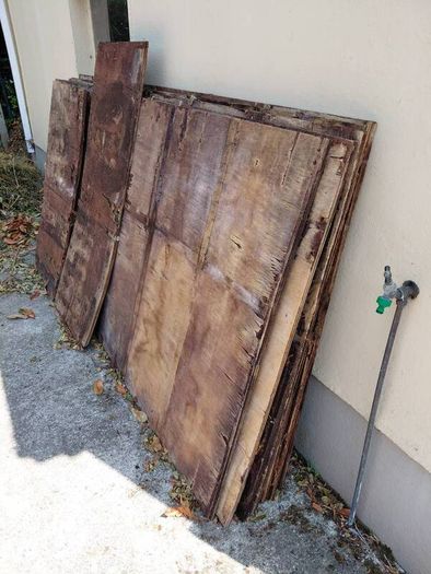 wood