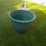 garden Image 2
