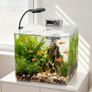 13L Starter Fish Tank Kit, 25  25  22CM Mini Plastic Aquarium with LED Light & USB Filter, DIY Aquascape for Small Betta Fish Image 4