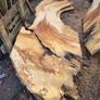 hardwood Image 9