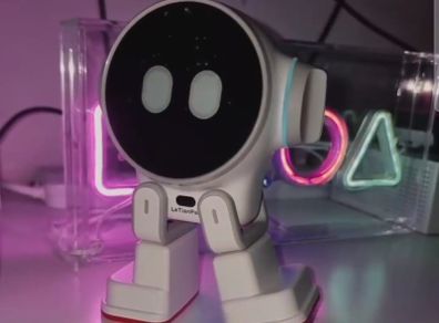 Rux ChatGpt robot