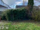 Garden doctors Image 9