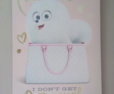 Secret Life of Pets Canvas