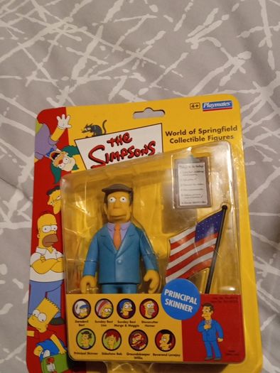 The simpsons principle skinner rare