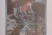Japanese Swinub 106/100 sv9 Battle Partners Pokemon cards