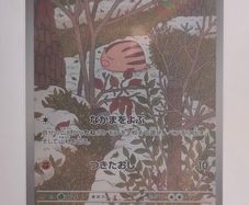 Japanese Swinub 106/100 sv9 Battle Partners Pokemon cards