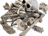 Halloween Skeleton Skull Bones Party Prank Toys Costume Party Props and Scary Decorations