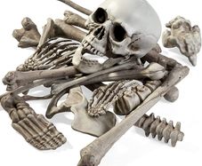 Halloween Skeleton Skull Bones Party Prank Toys Costume Party Props and Scary Decorations