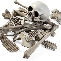 Halloween Skeleton Skull Bones Party Prank Toys Costume Party Props and Scary Decorations