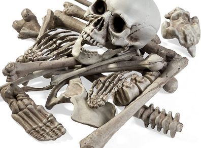 Halloween Skeleton Skull Bones Party Prank Toys Costume Party Props and Scary Decorations
