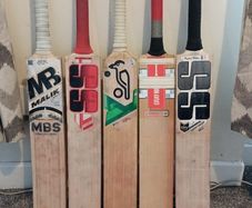 cricket bat