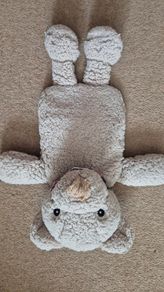 Hot water bottle teddy