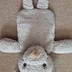 Hot water bottle teddy