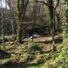 Minicooper14