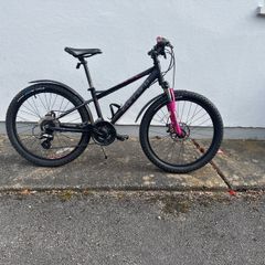 Carrera Jr Bike