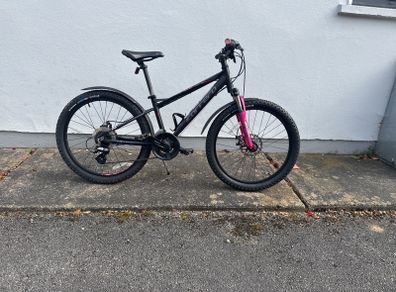 Carrera Jr Bike