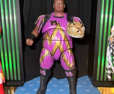 WWE Elites, Ultimates and Playsets Assortments