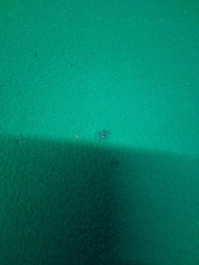 pool table/snooker table
