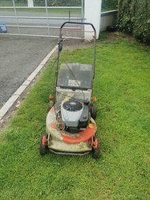 Harry lawnmower