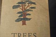 Trees by Margaret Kent, published in 1948 as part of The Children's Nature Series. [1]  Title: Trees  Author: Margaret Kent  Publisher: George G. Harrap  Date: 1948  First edition paperback in good condition.  See photos for same.