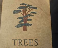 Trees by Margaret Kent, published in 1948 as part of The Children's Nature Series. [1]  Title: Trees  Author: Margaret Kent  Publisher: George G. Harrap  Date: 1948  First edition paperback in good condition.  See photos for same.