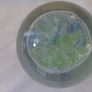 Glass Jellyfish Paperweight Image 3