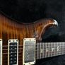 PRS Special 22 Semi-Hollow Image 3