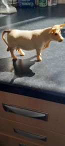 rare schleich models