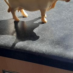 rare schleich models