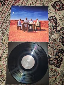 Muse: black holes and revelations LP