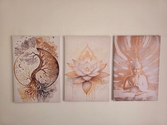 3 framed canvas 45x65cm