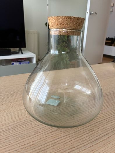 Plant jar / terrarium