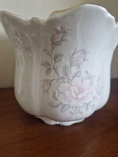 china indoor plant pot