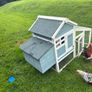 Millefleur Pekin Bantam pair with house Image 10