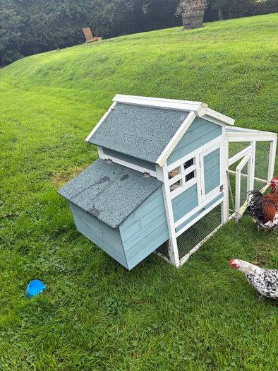Millefleur Pekin Bantam pair with house