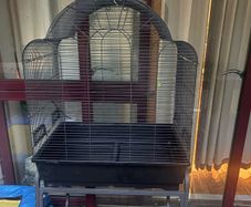 bird cage