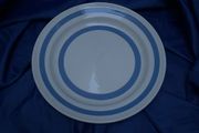blue and white Carrigaline Pottery plate
