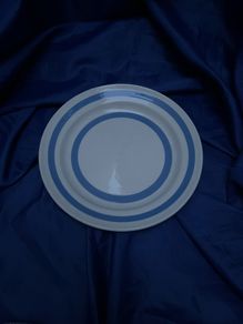 blue and white Carrigaline Pottery plate
