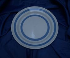 blue and white Carrigaline Pottery plate
