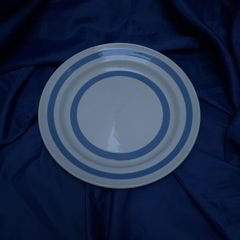 blue and white Carrigaline Pottery plate
