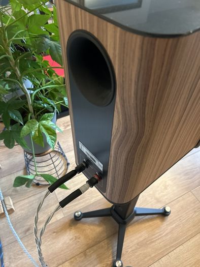 Focal Kanta 1