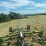 8x4x3 Bales of Hay Image 4